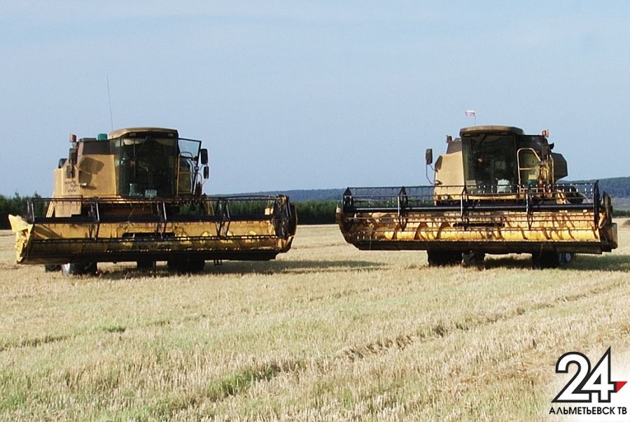 В Татарстане число исследований качества зерна увеличилось на 37 процентов