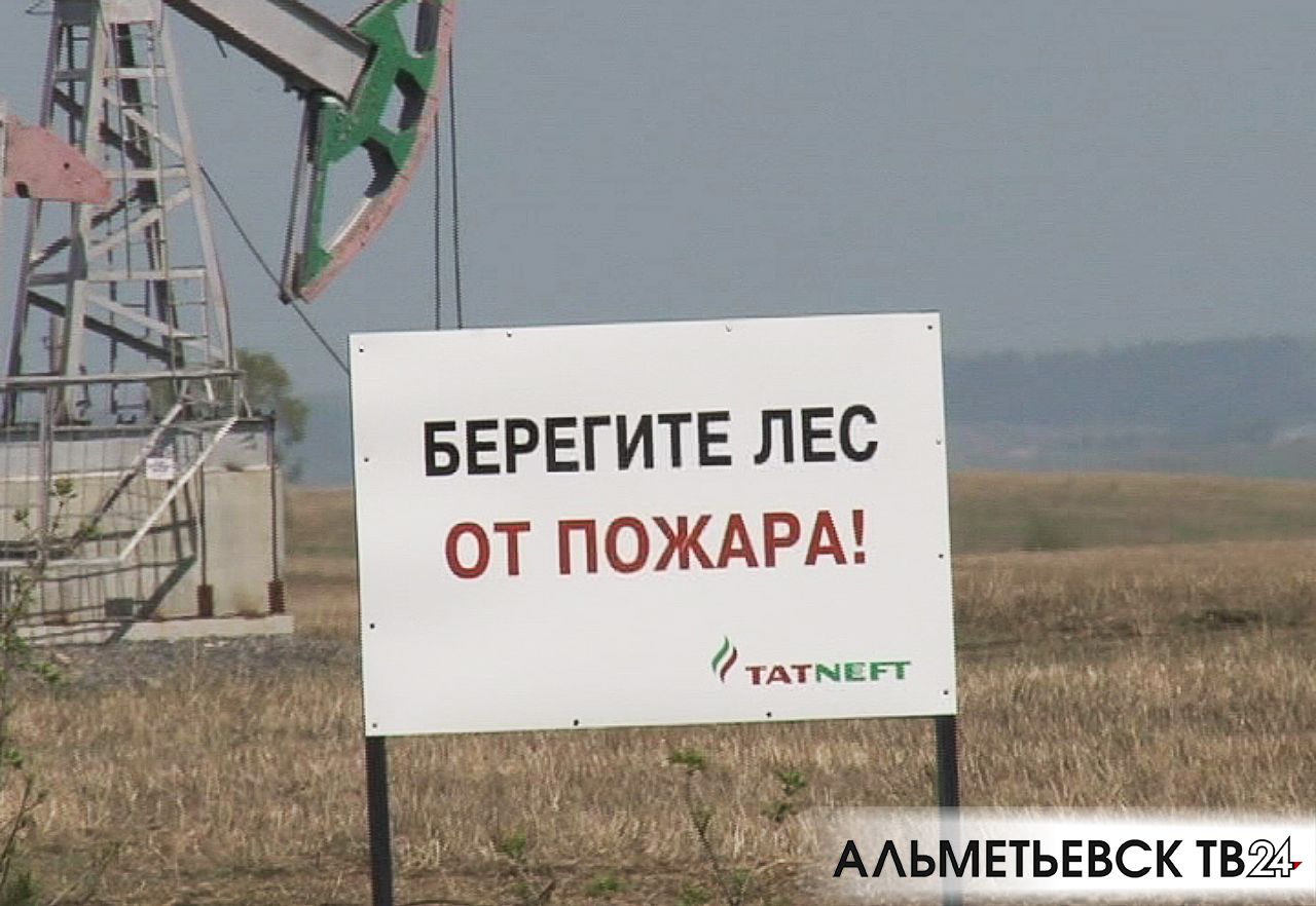 В Татарстане с 15 апреля начался лесопожарный сезон