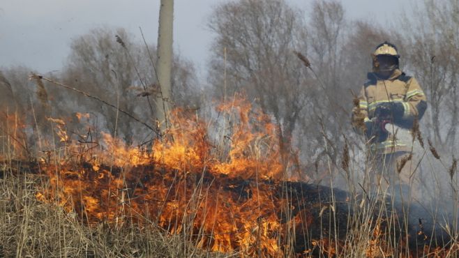 В Татарстане спасатели эвакуировали 84 селянина из-за лесного пожара