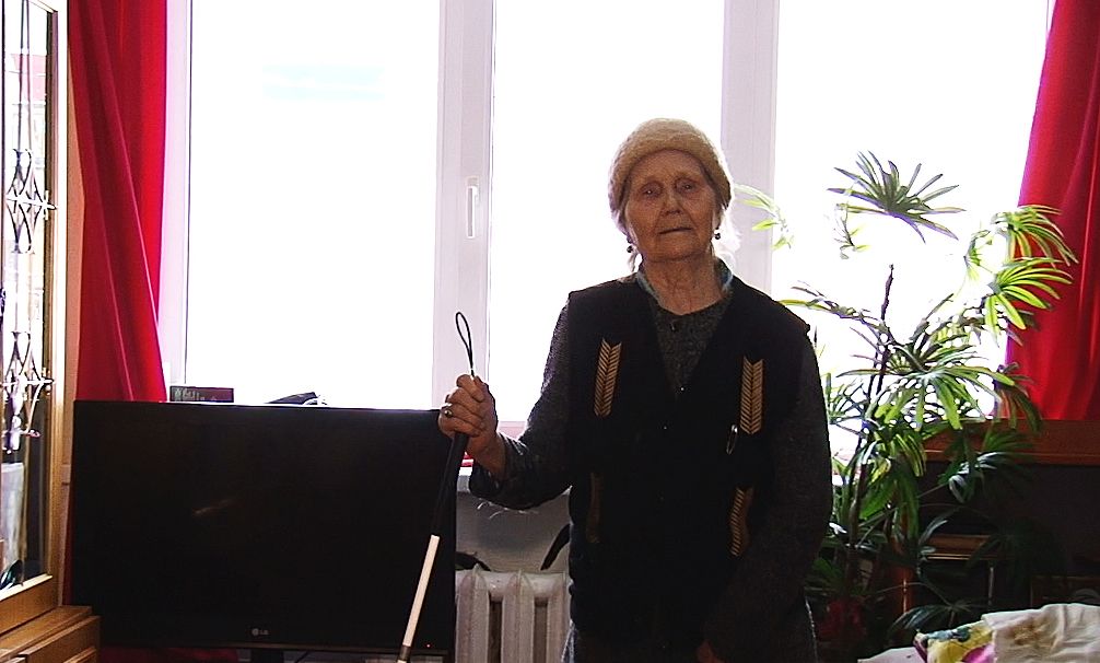 В Альметьевске провели учебу для семей, приютивших одиноких пенсионеров