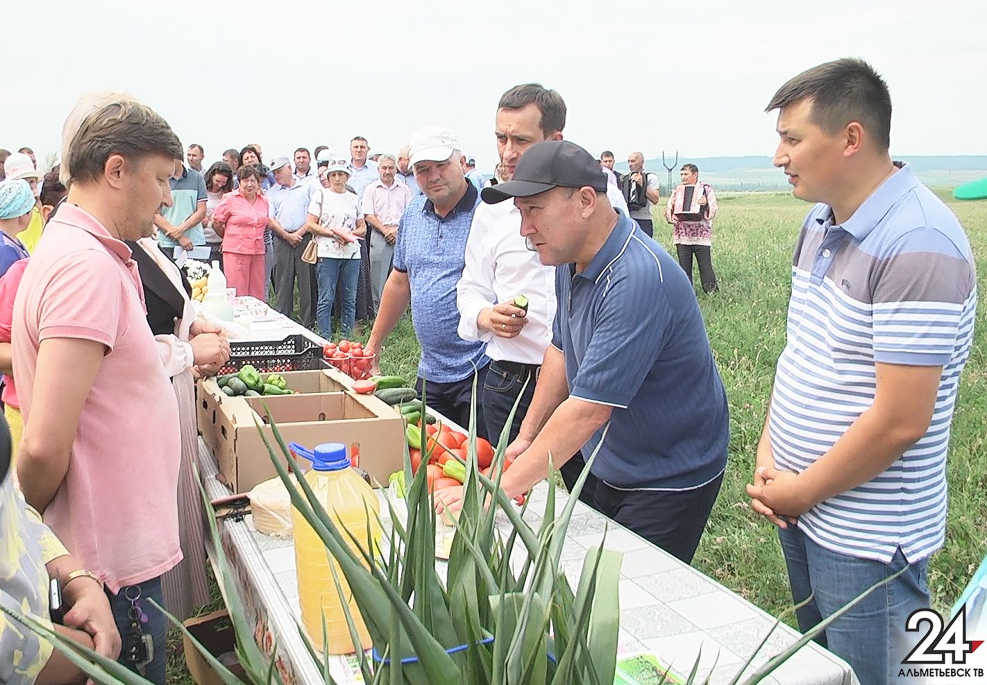 Глава Минсельхозпрода РТ ознакомился с видами на урожай в Альметьевском районе