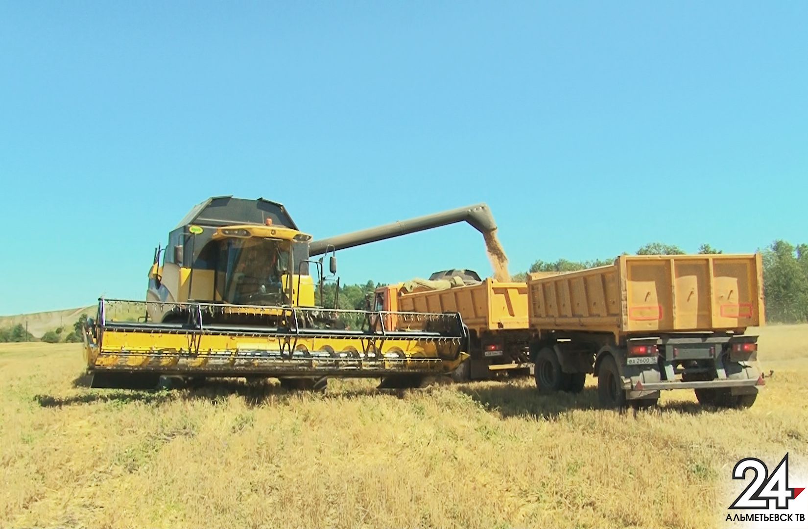Погода в помощь: на полях Альметьевского района началась уборка зерновых