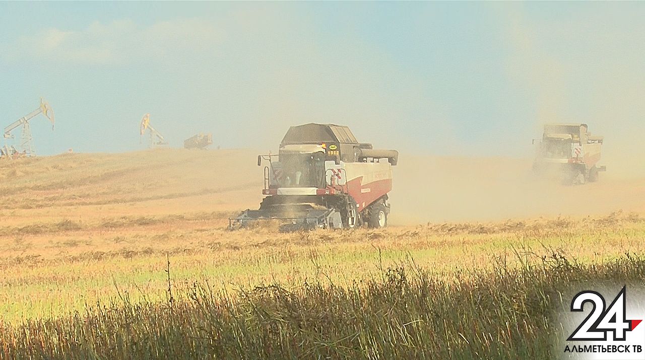 Альметьевский район завершает уборку зерновых и зернобобовых культур