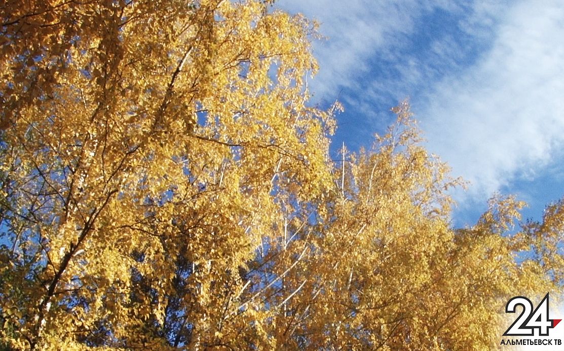 Какой будет осень в Татарстане: запоздалое бабье лето, отопительный сезон и первый снег