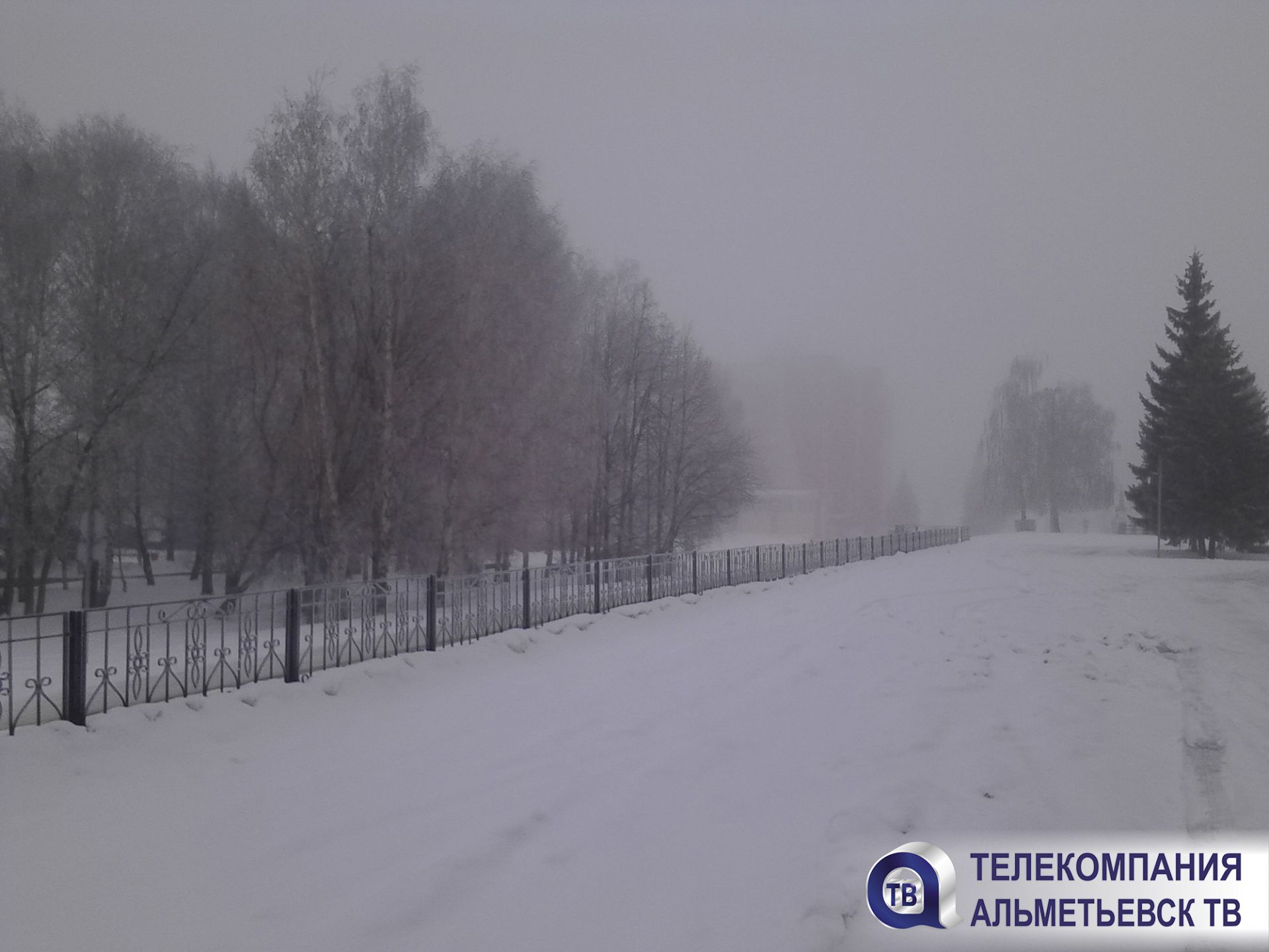 МЧС Татарстана напоминает жителям и гостям республики о мерах безопасности во время тумана