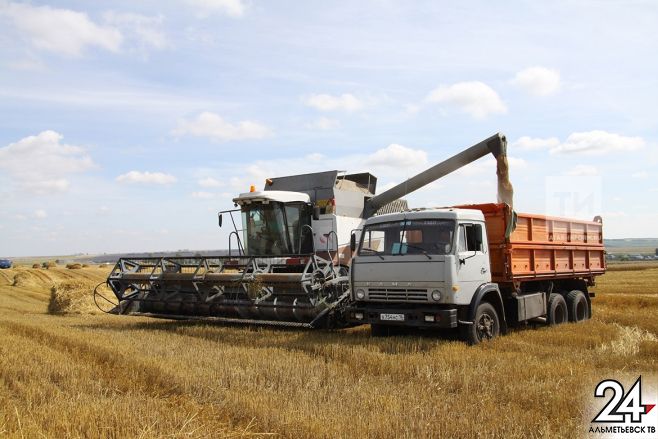 Министр сельского хозяйства и продовольствия Татарстана поздравил сельских тружеников