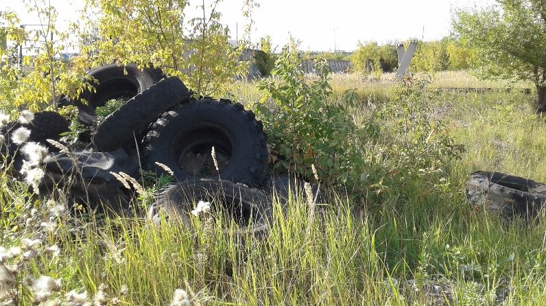 Экологи обнаружили складирование отходов на территории Альметьевска