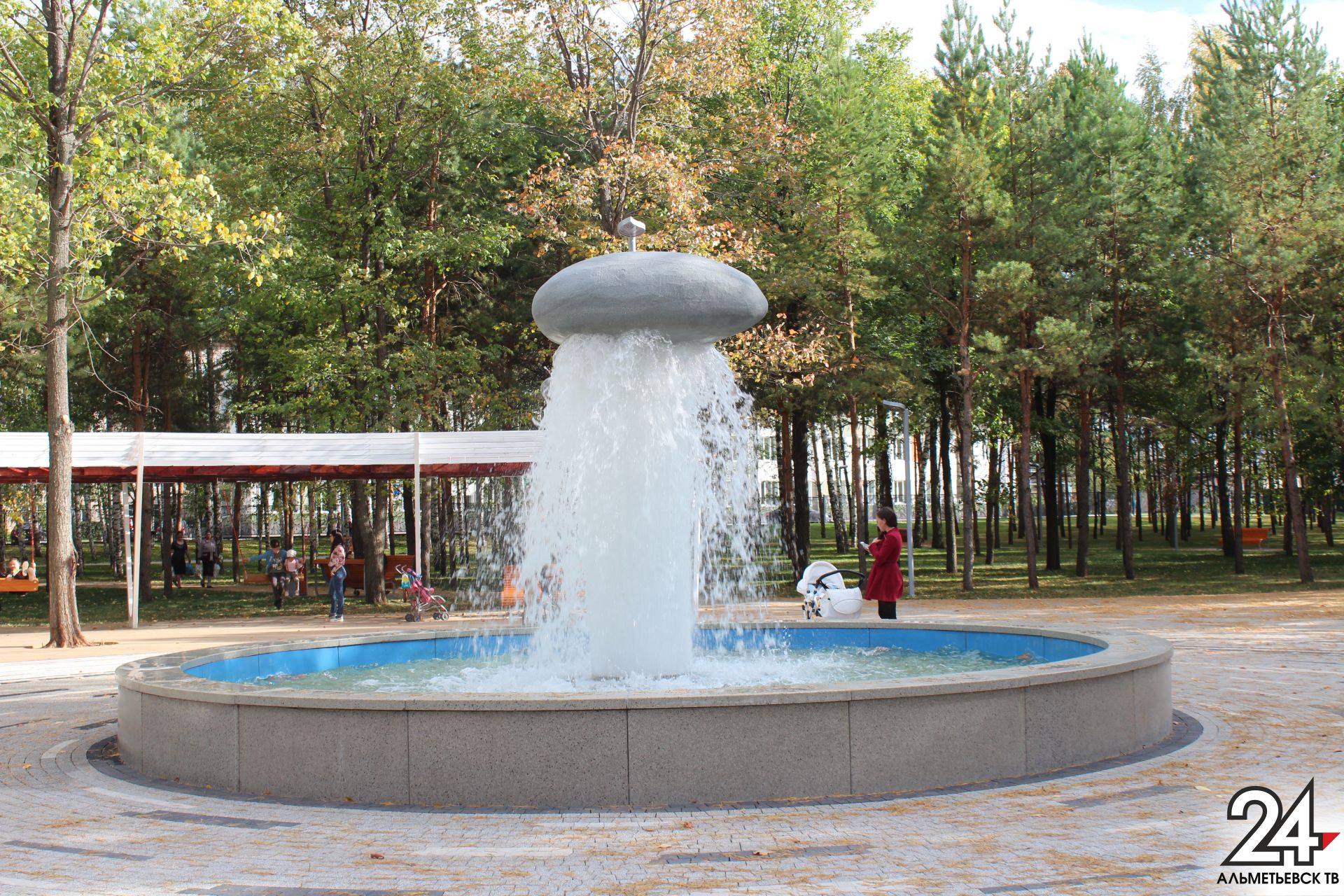 На содержание парков и скверов Альметьевска выделят 12,5 млн рублей