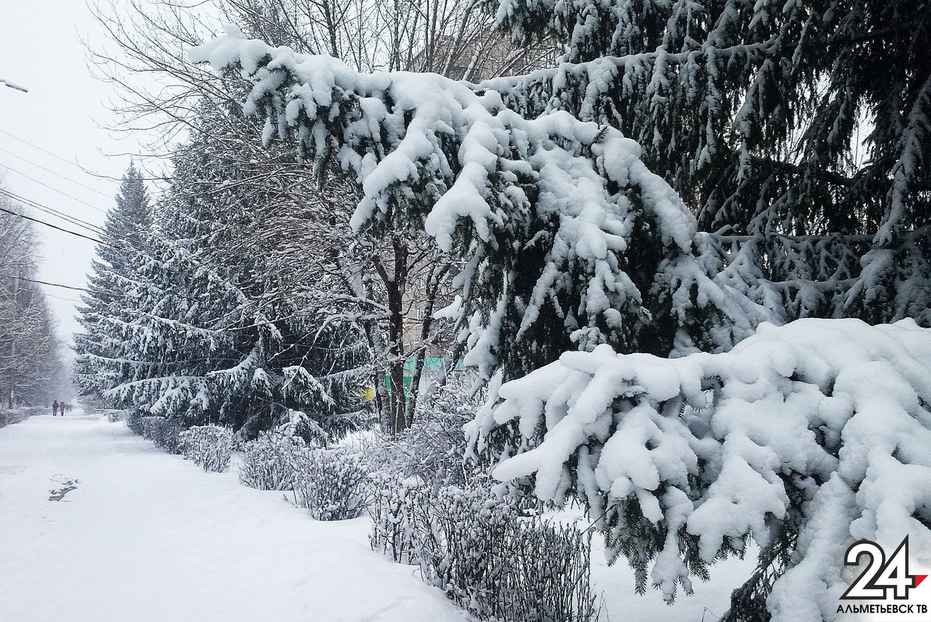 Синоптики пообещали жителям Татарстана снегопад и потепление в выходные дни