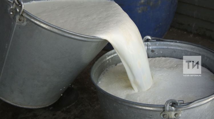В Татарстане в ноябре производство мяса увеличилось на 6%, молока – на 5%