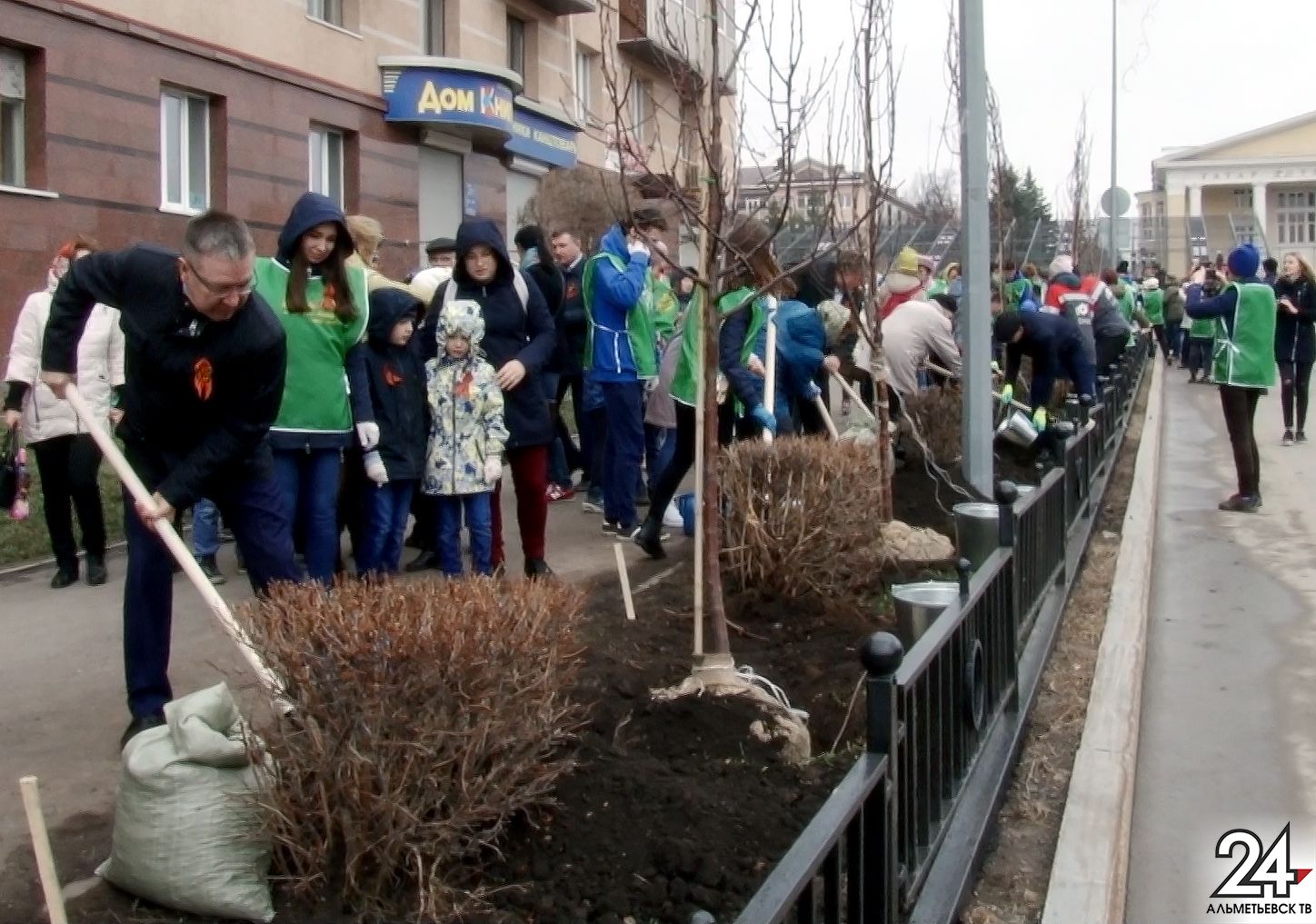 Деревья посажены, свалки ликвидированы: в Альметьевске подводят экологические итоги