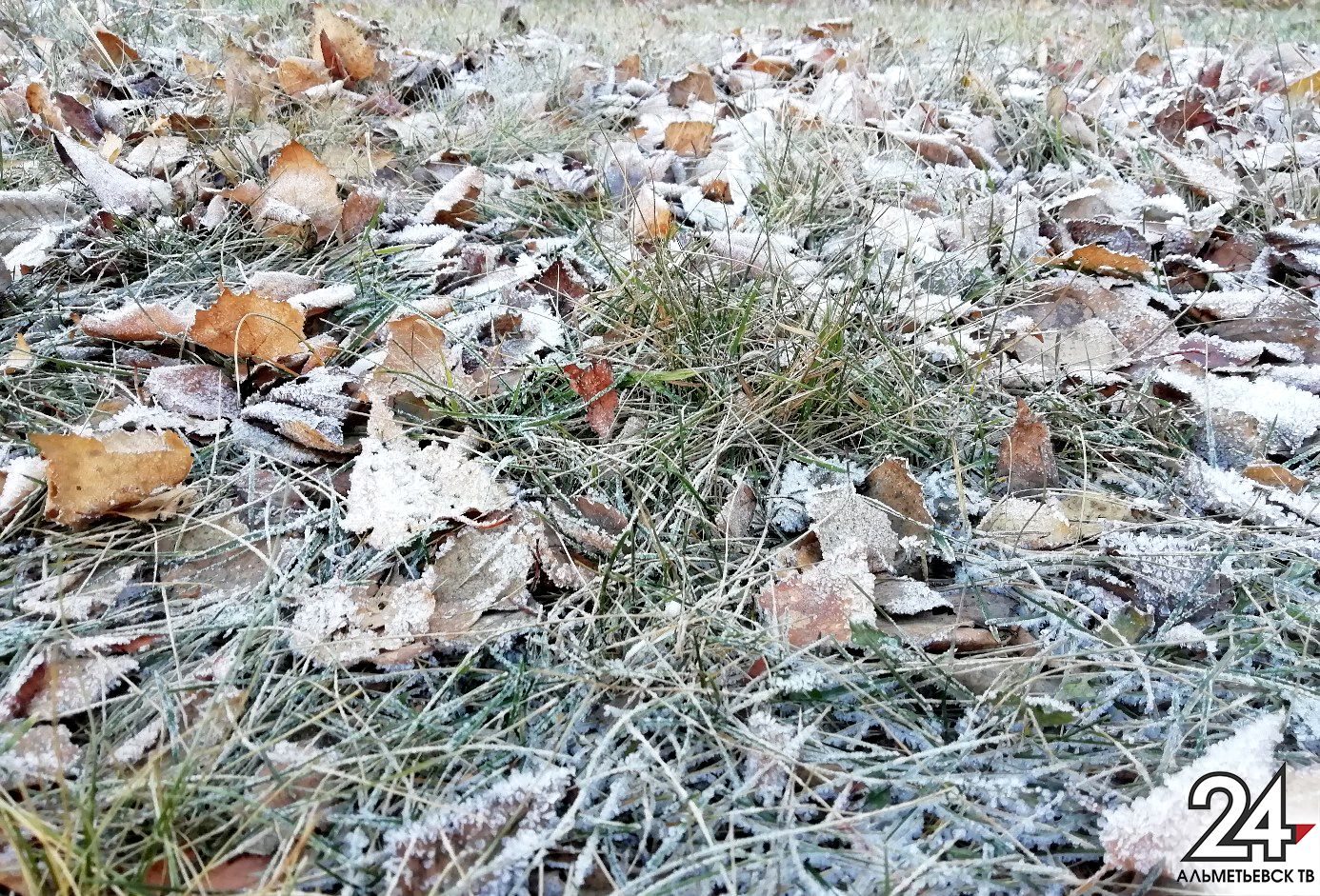 Синоптики Татарстана предупреждают о заморозках до -5 градусов