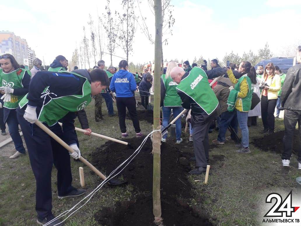 Около 300 человек вышли на посадку деревьев в Альметьевске