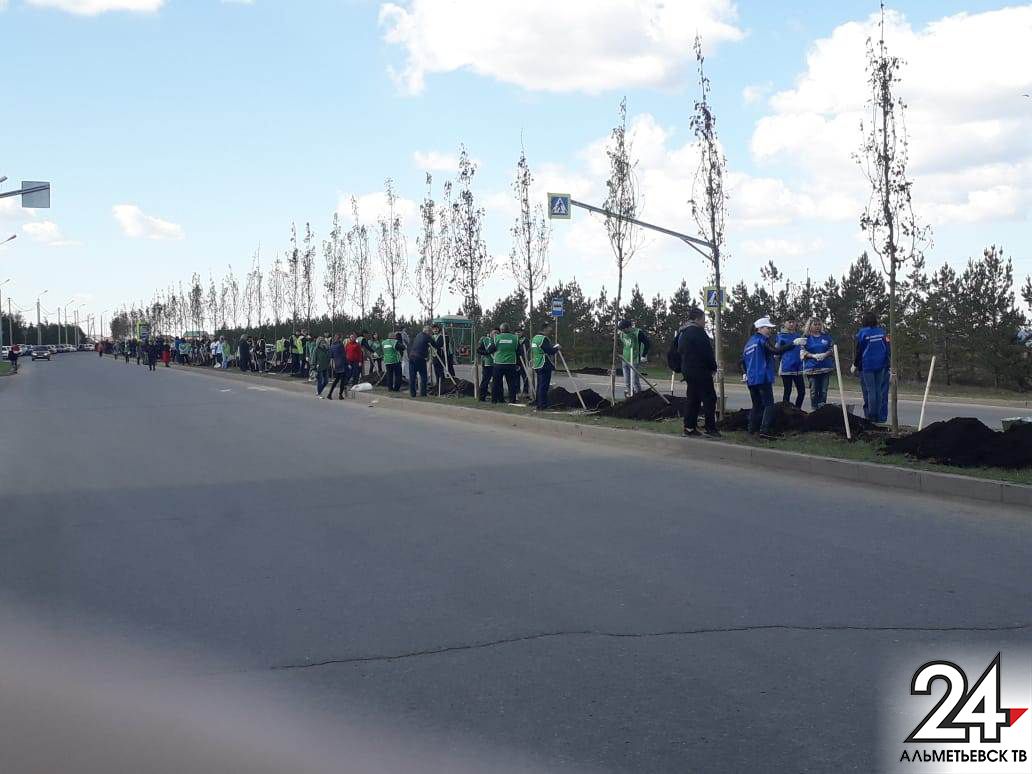 Около 300 человек вышли на посадку деревьев в Альметьевске