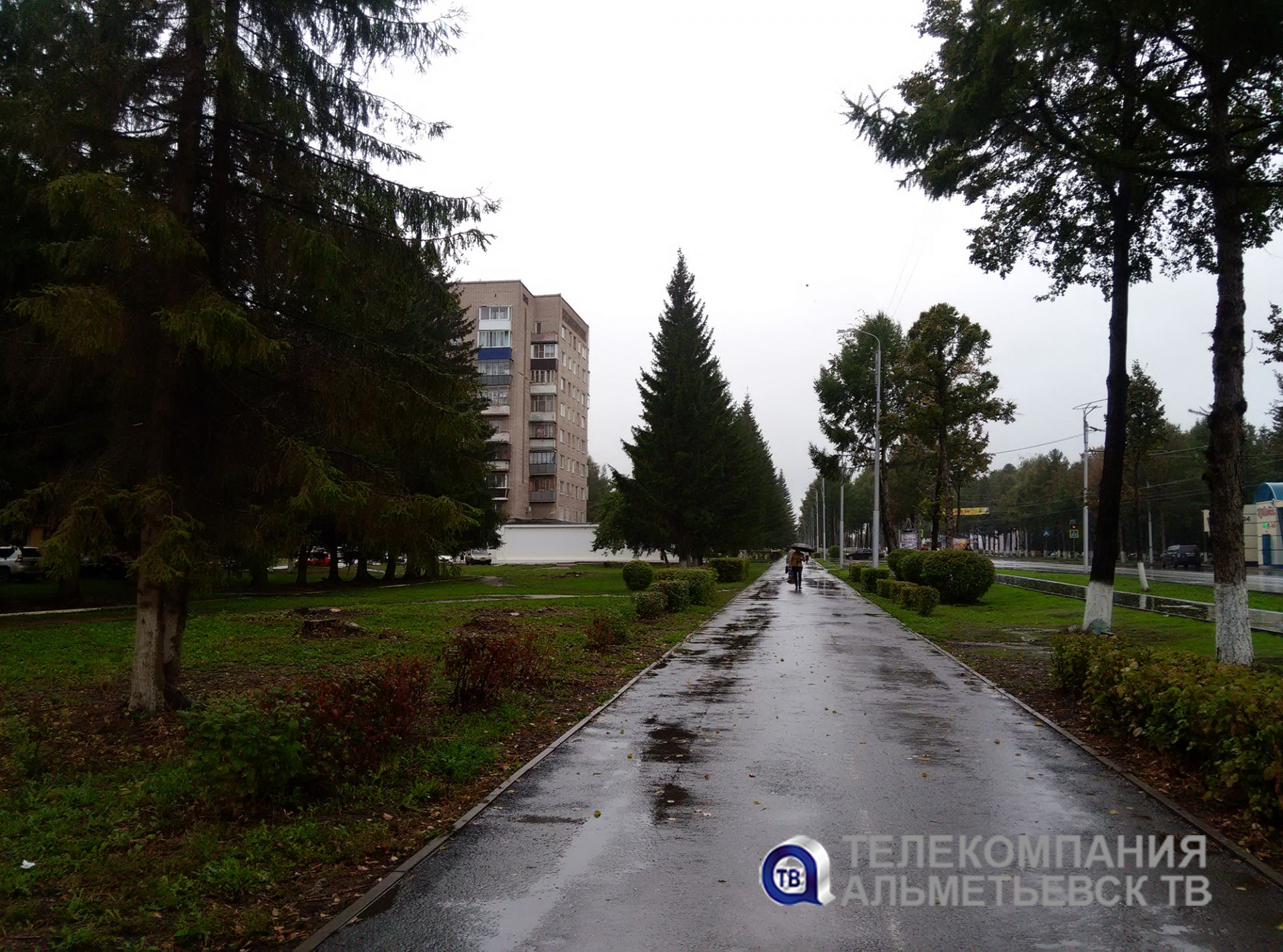 В Альметьевске прогнозируется дождь с грозой