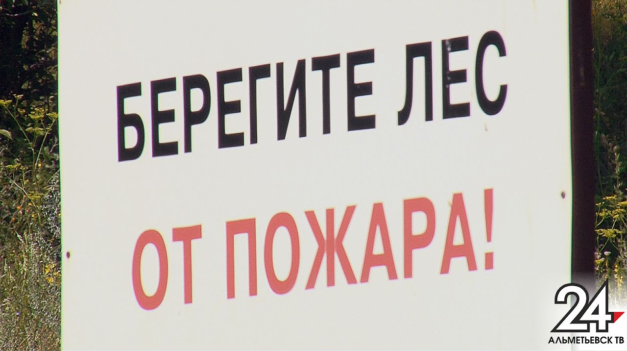 В Татарстане объявлено штормовое предупреждение из-за высокой пожароопасности лесов