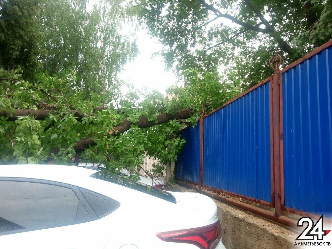 В Альметьевске ветром сорвало крышу дома и повалило деревья