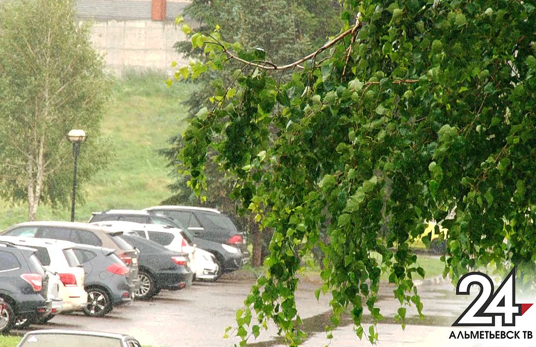 В Татарстане объявили штормовое предупреждение из-за ливней и сильного ветра