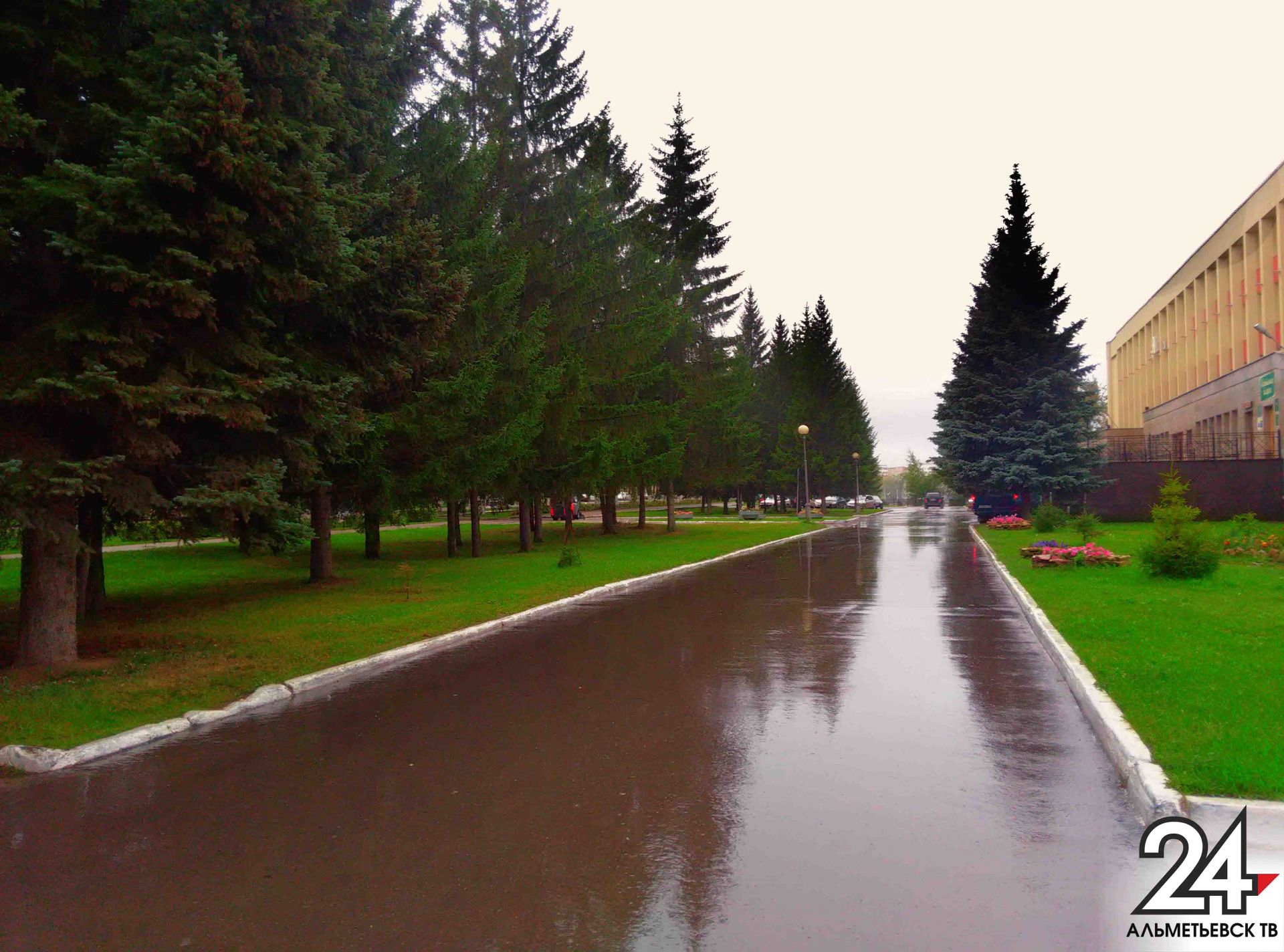 В Альметьевском районе ожидаются дождь и гроза