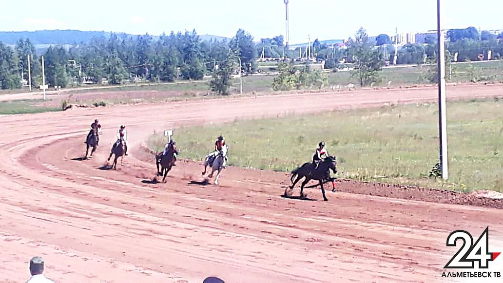 На Альметьевском ипподроме проходят конные скачки