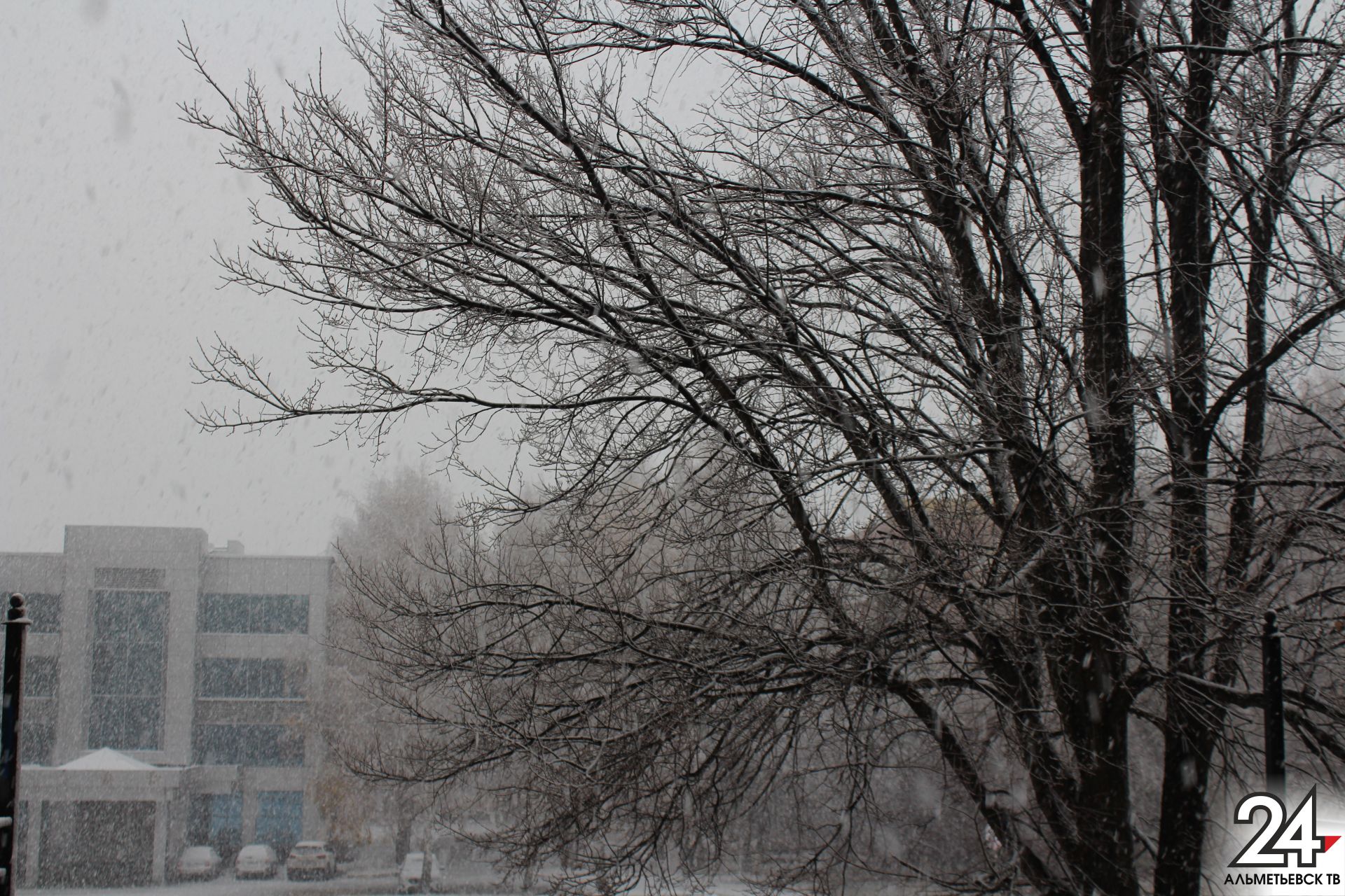 Гидрометцентр сообщает о похолодании в Татарстане&nbsp;