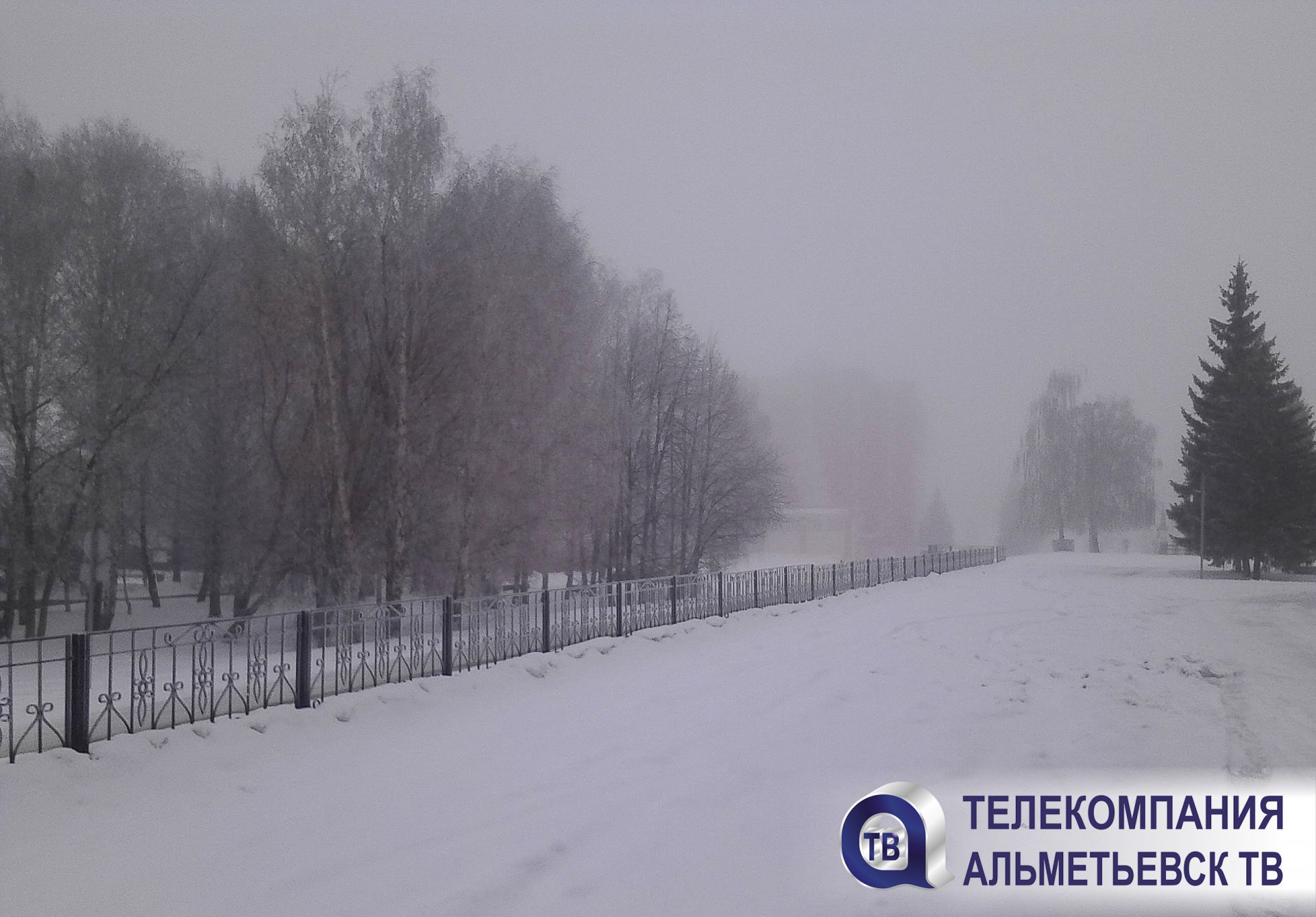 Осторожно, туман: татарстанцев просят соблюдать меры безопасности на дороге