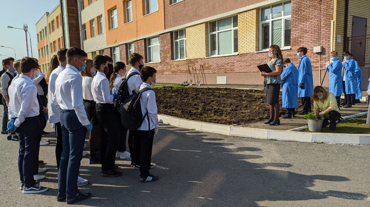 Школьники Альметьевска посадили деревья