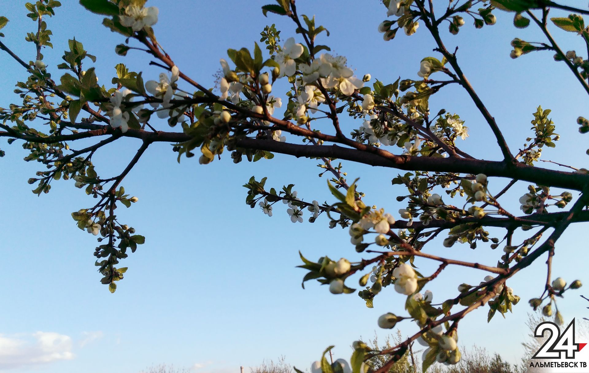 Какими будут весна и лето в Татарстане: метеоролог рассказал о прогнозах