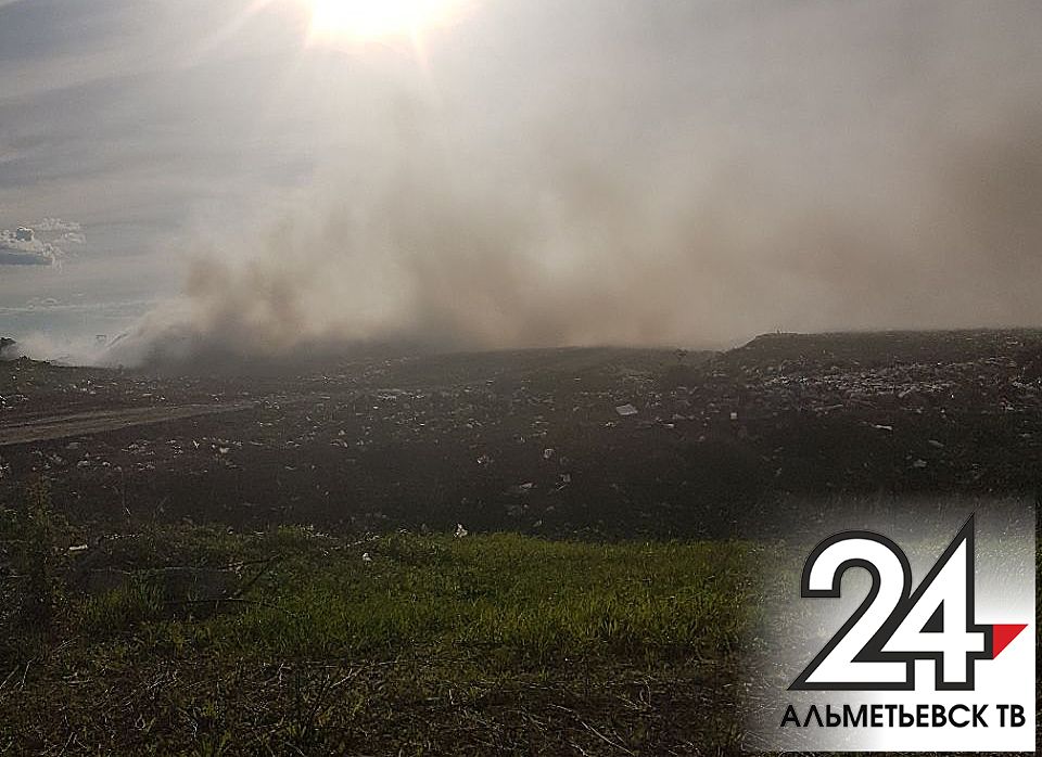 В Альметьевске возбуждено 8 административных дел по фактам сжигания сухой травы