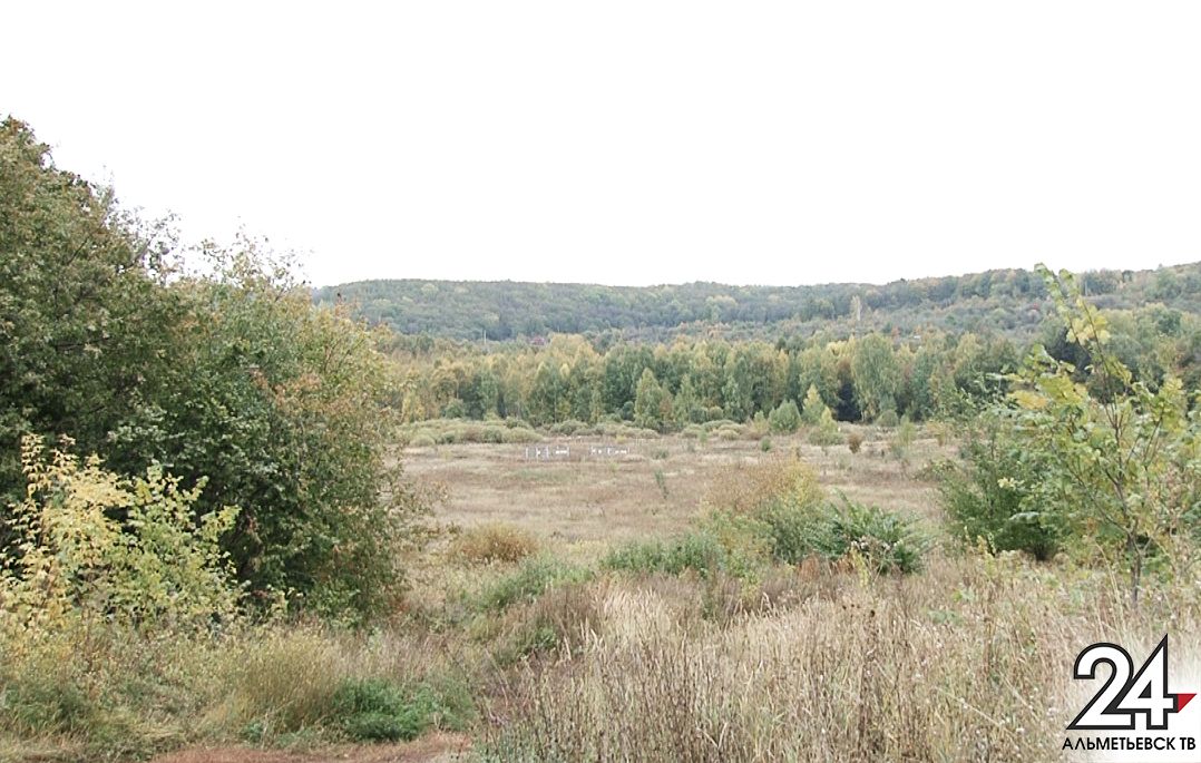 В Татарстане в 2020 году по нацпроекту «Экология» восстановили уже свыше 600 га леса