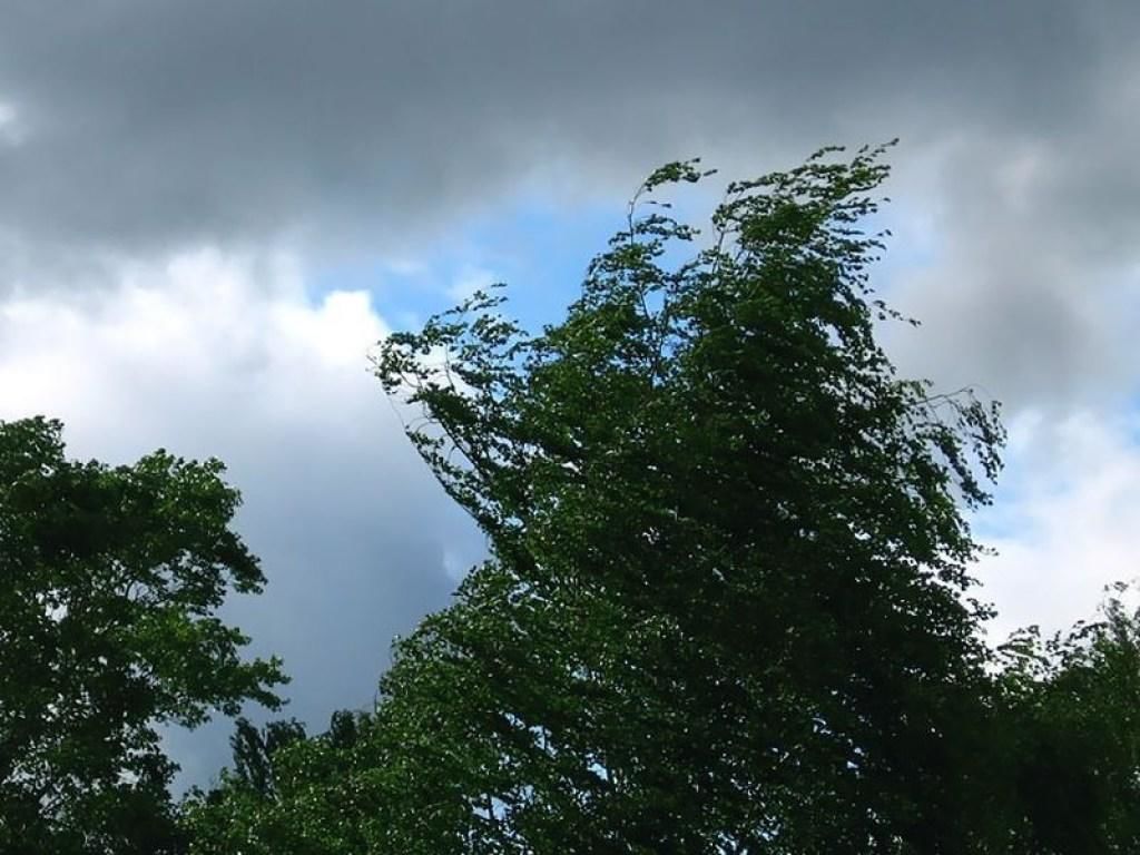 Татарстанцев предупредили о порывистом ветре и дожде
