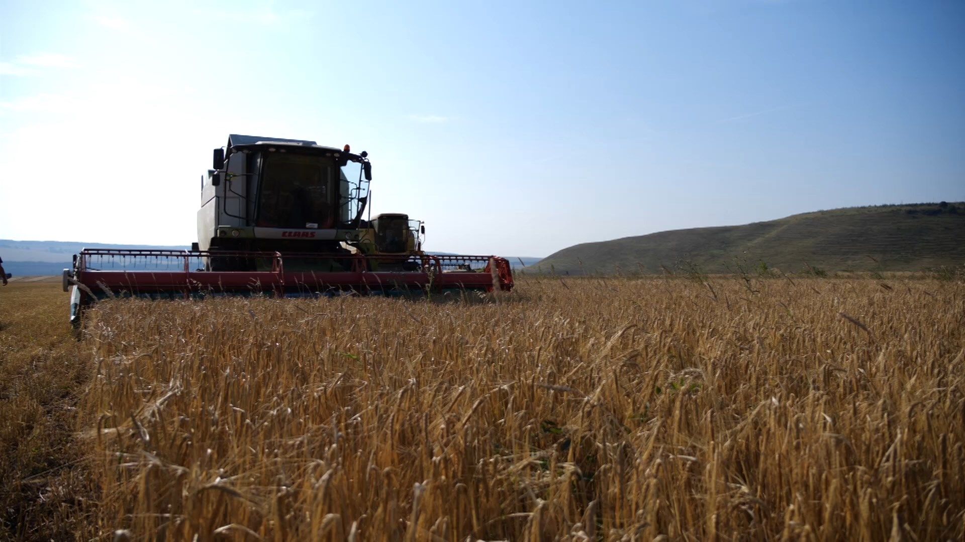 Аграрии Альметьевского района убрали треть площадей зерновых культур