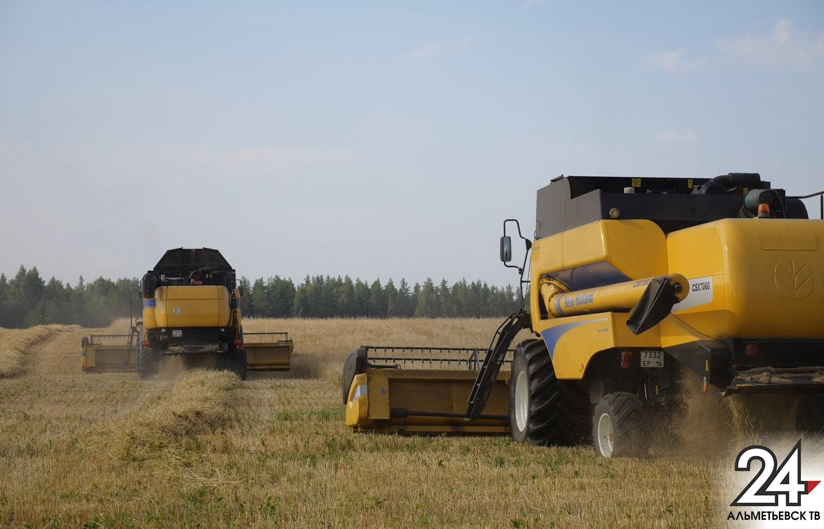 Аграрии Альметьевского района обмолотили свыше 15 тысяч га зерновых культур
