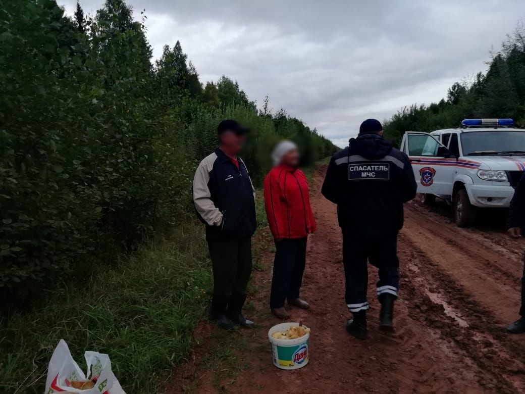 В Татарстане спасателям понадобилось три часа на поиск грибников