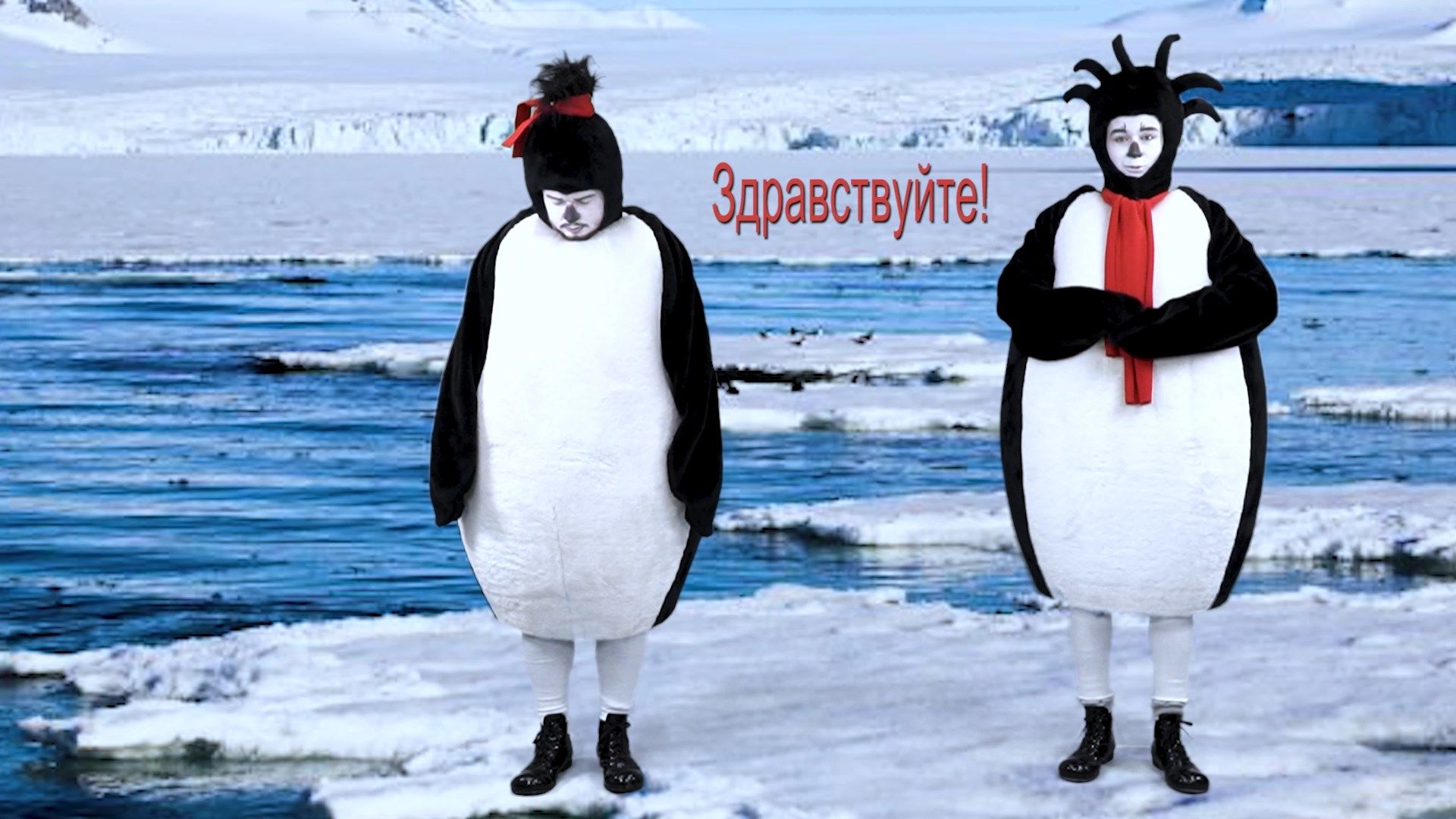 На кастинг ЮВТ-24 записали «пингвиний прогноз погоды»