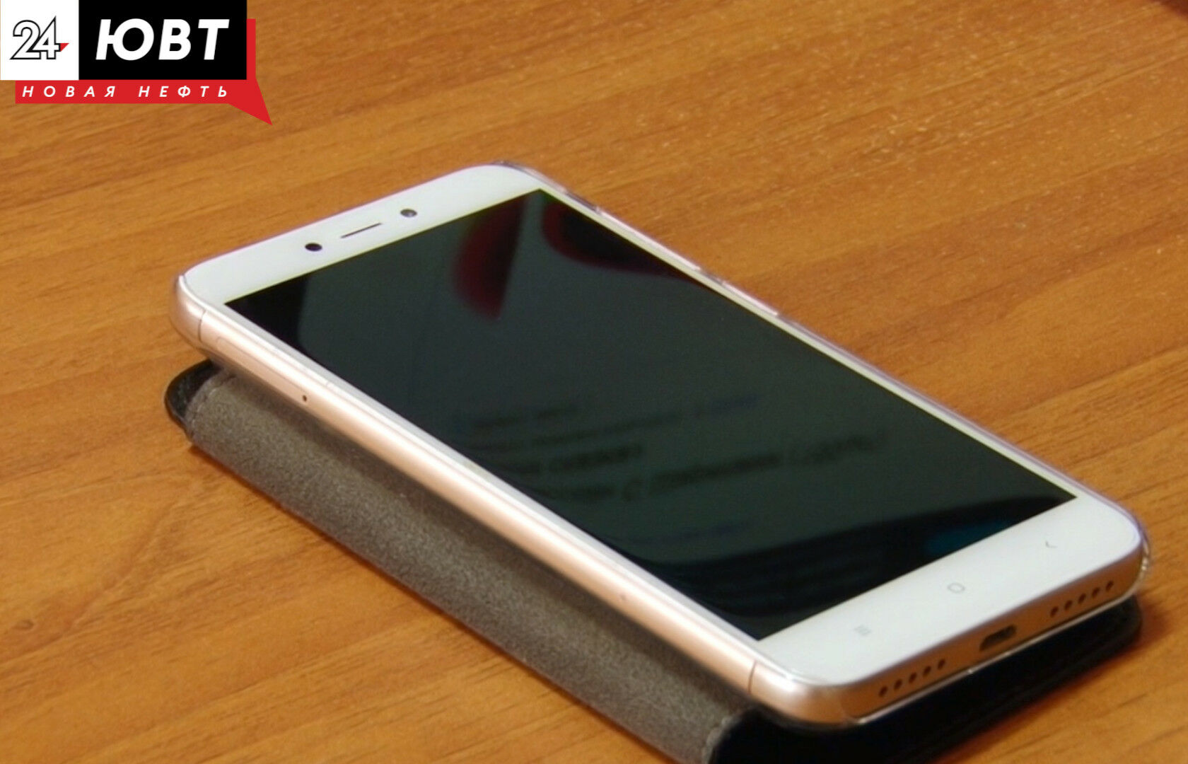 За оставшиеся 4 дня переписи среди татарстанцев разыграют 8 телефонов модели iPhone 13