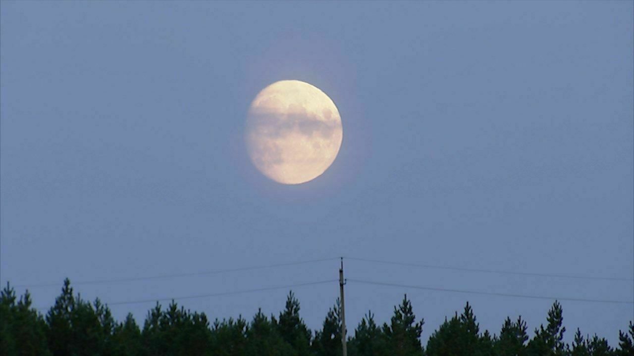 Россияне в 2022 году смогут увидеть редкое лунное затмение