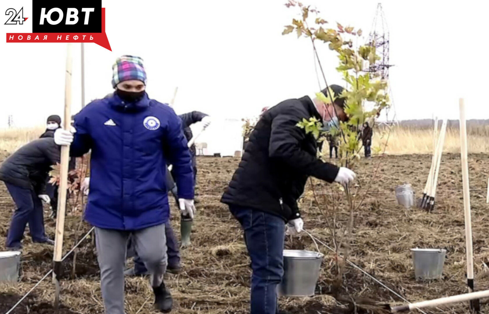 В новых микрорайонах Альметьевска планируют высадить саженцы деревьев