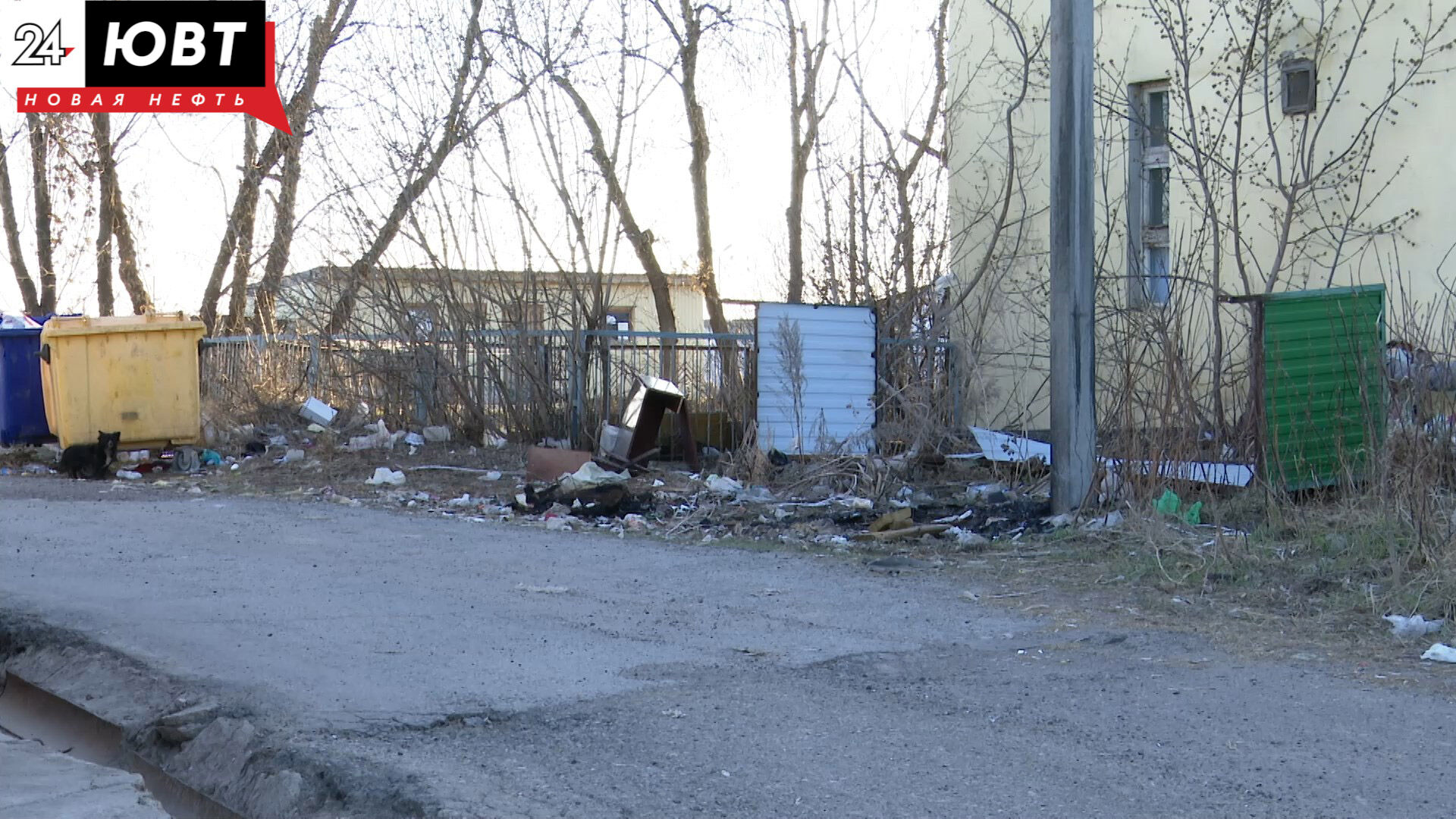 Бесконечные субботники: жители в Альметьевске жалуются на нехватку мусорных контейнеров