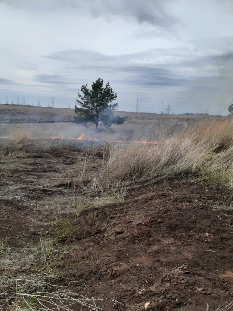 В Альметьевске выясняют причины возгорания травы в разных частях города и района