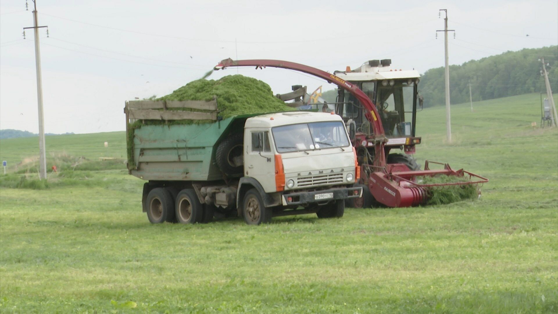 В Альметьевском районе аграрии испытывают сложности с заготовкой кормов