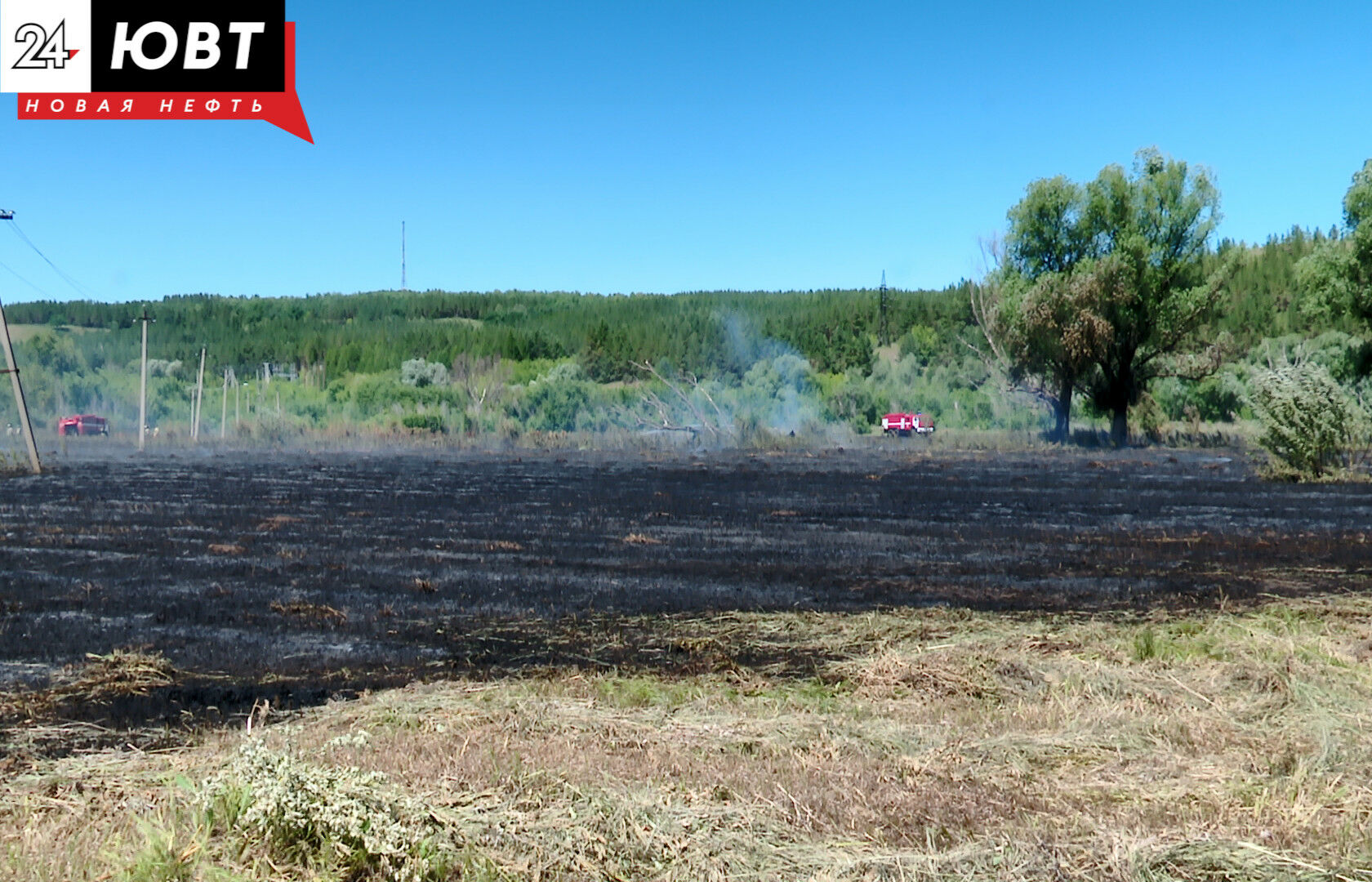 В Альметьевском районе с апреля зарегистрировано 132 случая горения травы и мусора