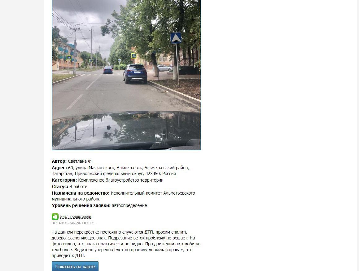 Жительница Альметьевска просит спилить дерево, из-за которого не видно дорожного знака
