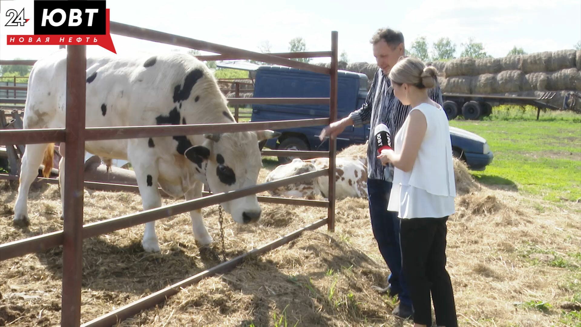 Поделились секретами: фермеры рассказали, как они содержат коров и лошадей