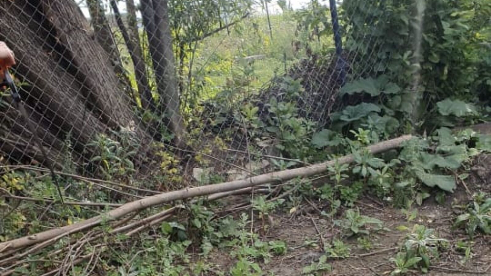 Экологи обнаружили металлический забор из сетки возле реки в Альметьевском районе
