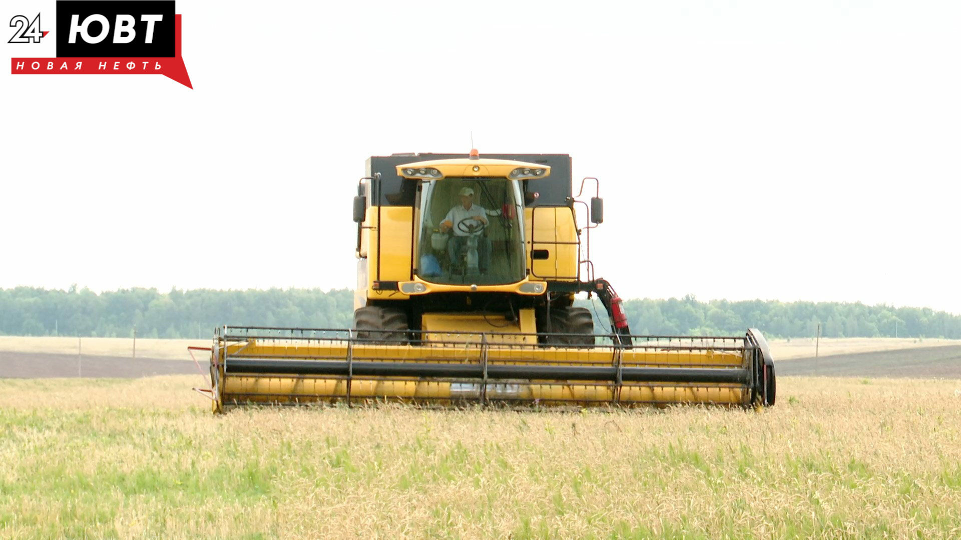 Аграрии Татарстана, пострадавшие от засухи, могут претендовать на меры поддержки Минэкономики РТ
