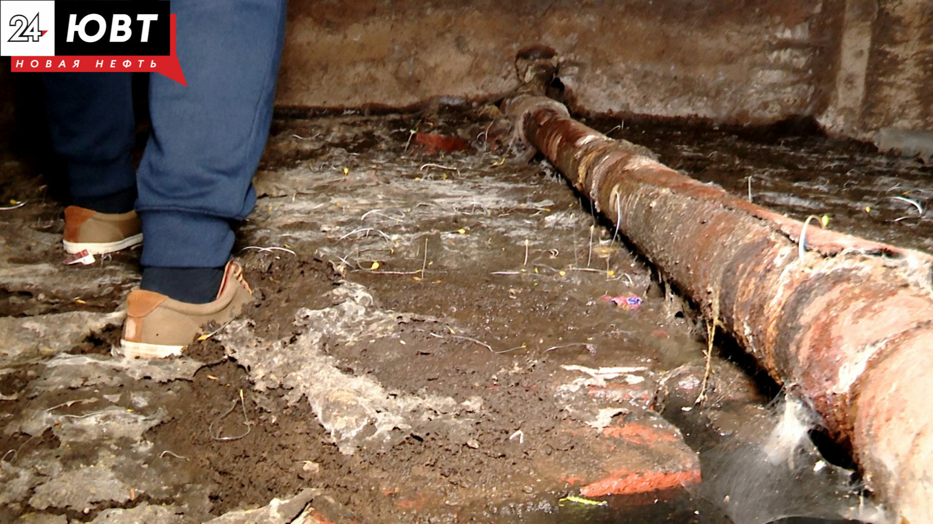 Альметьевцы жалуются на запах канализации в доме на протяжении десяти лет