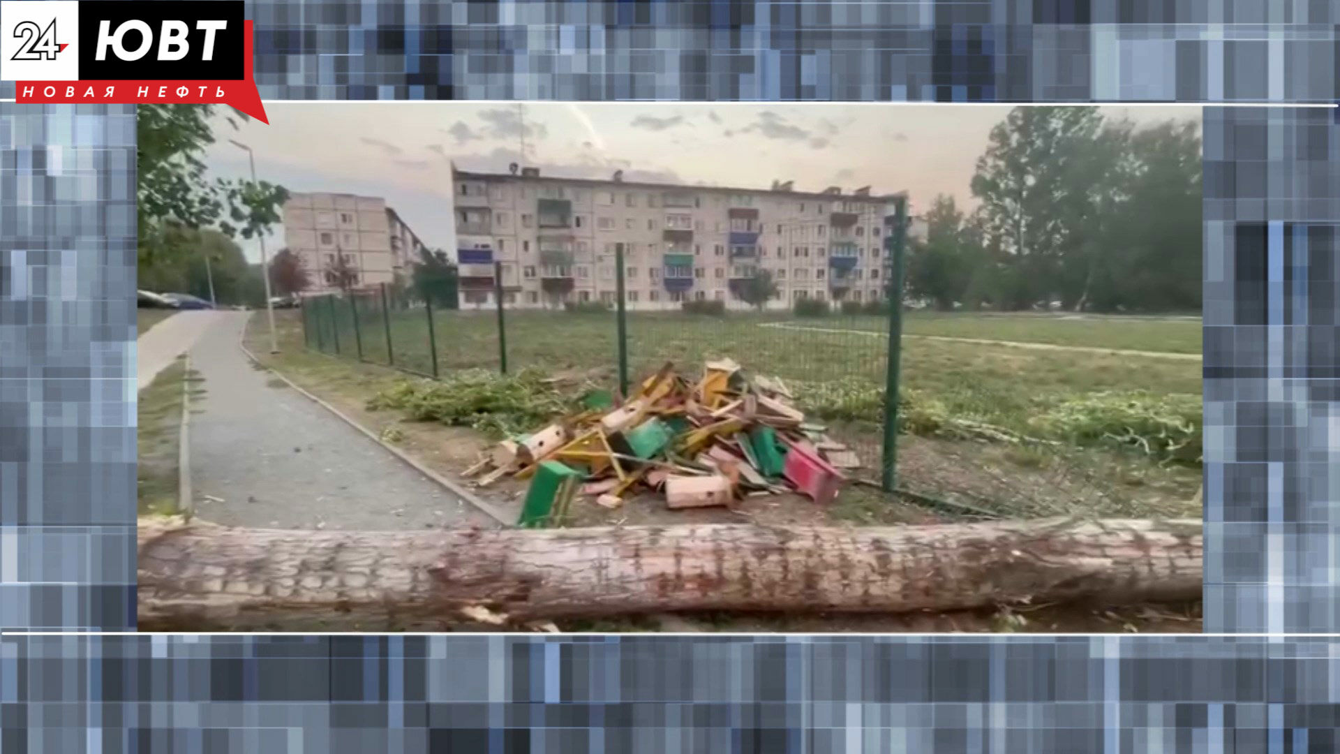 «Дети плакали, когда оно свалилось»: в Альметьевске от сильного ветра упало дерево со скворечниками
