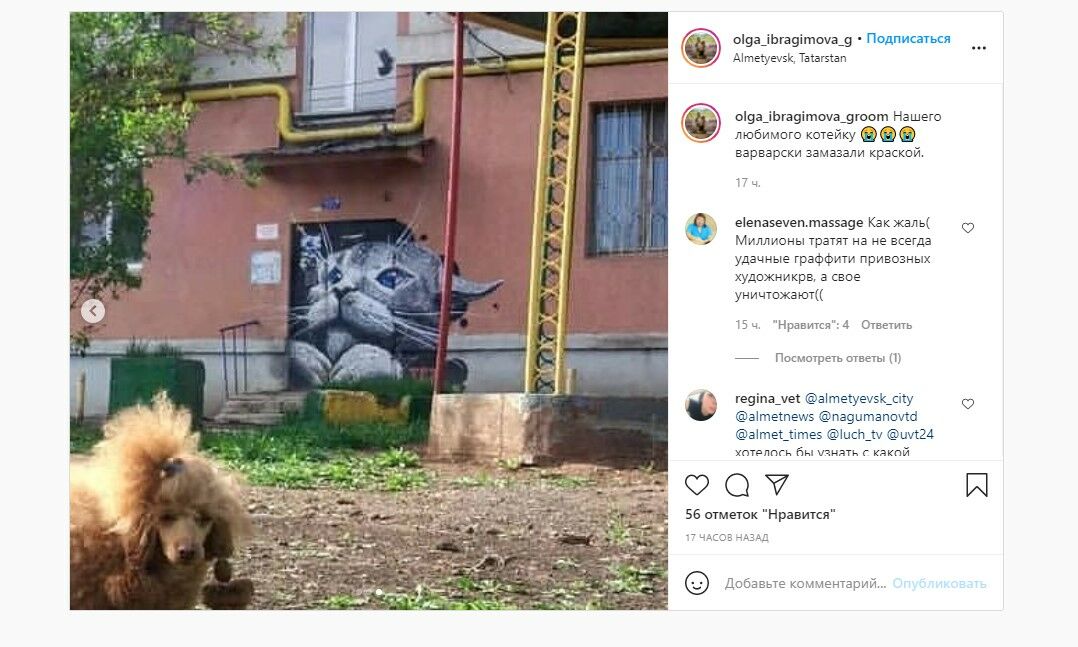 В Альметьевске ищут художника, который сможет восстановить рисунок котика