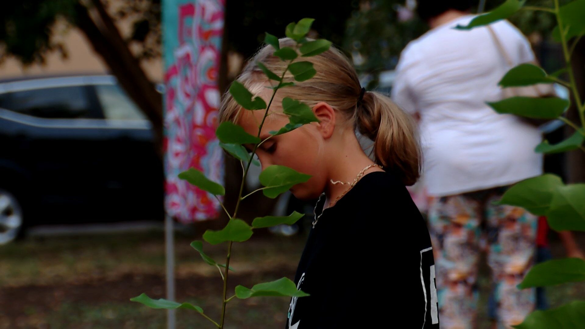В Альметьевске школьники высадят около 300 саженцев триплоидной осины